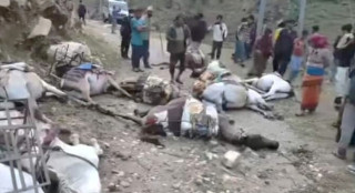 मुगुमा करेन्ट लागेर १० खच्चरको मृत्यु, किसानको लाखौंको क्षति