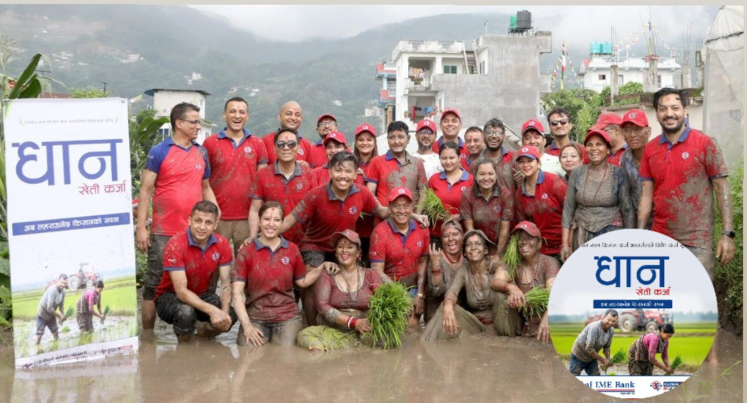 ग्लोबल आइएमई बैंकद्वारा राष्ट्रिय धान दिवसको अवसरमा “धान खेती कर्जा” सार्वजनिक तथा धान रोपाई कार्यक्रम आयोजना