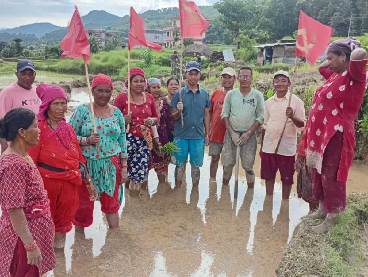 नुवाकोटमा धान रोपाइँ सम्पन्न, राजनीतिक चेतनासहितको कृषि अभियानले नै मुलुक आत्मनिर्भर हुने : जीवन सी