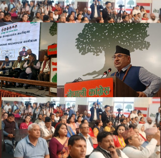 कांग्रेस शुभेच्छुक संस्था समन्वय विभागद्वारा तीज शुभकामना आदान–प्रदान कार्यक्रम सम्पन्न