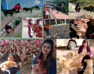 आवाजविहीन प्राणीहरू पनि माया महसुस गर्छन्: हाम्रो कोमल कदमले उनीहरूको जीवन उज्यालो बनाउँछ