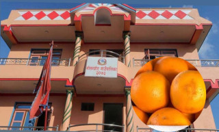 गोलन्जोरमा २३ गतेदेखि जुनार मेला हुने
