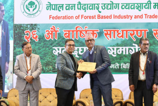स्वदेशी काठको प्रयोग बढाउन नीतिगत सुधारमा जोड