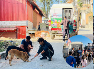 महानगरभित्रका २८ वटा वडामा ५ हजार ४४ वटा सामुदायिक कुकुरको बन्ध्याकरण 