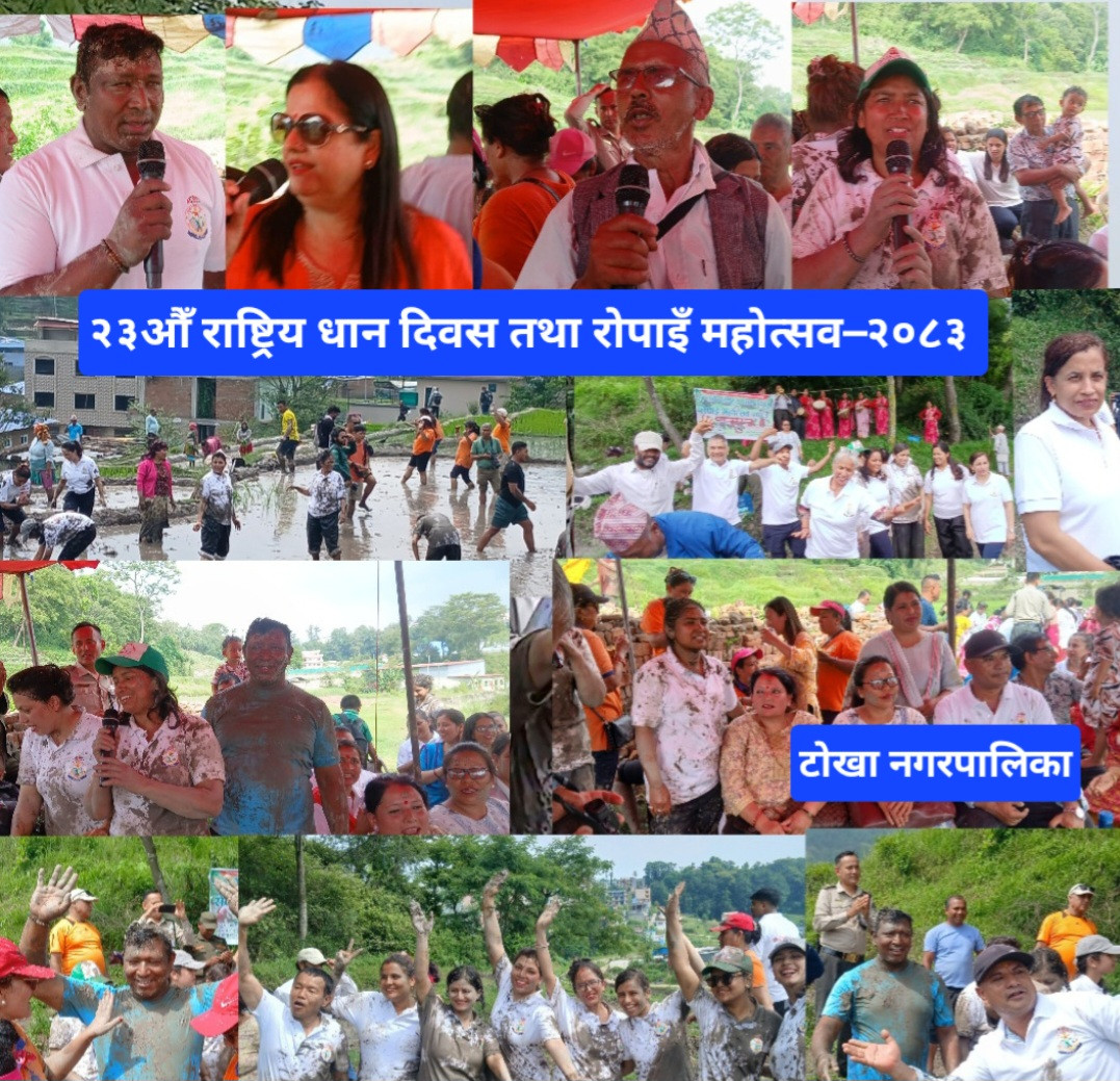 टोखामा २३औँ राष्ट्रिय धान दिवस तथा रोपाइँ महोत्सव–२०८३ उत्साहपूर्वक सम्पन्न (फोटो फिचर)