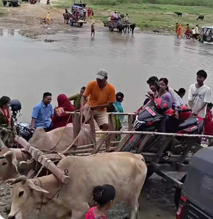 मानिसको सहज यात्राका लागि गोरुले कहिलेसम्म दुःख पाउने ?